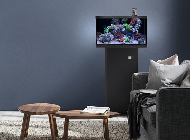 Aquariensets-Meerwasser