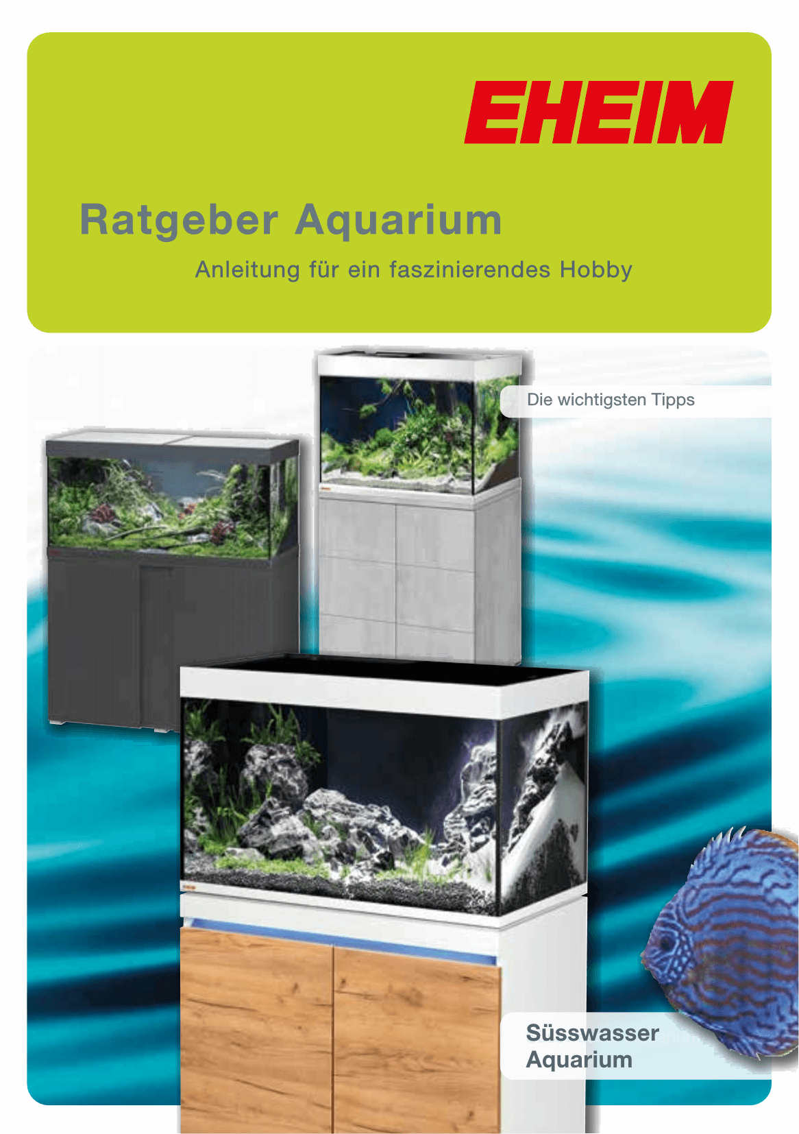 Ratgeber Licht im Aquarium