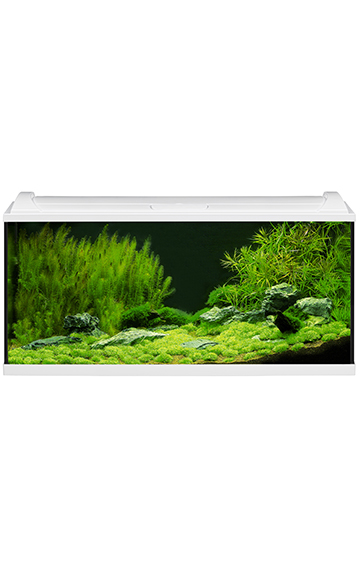 aquapro_LED_weiß_180