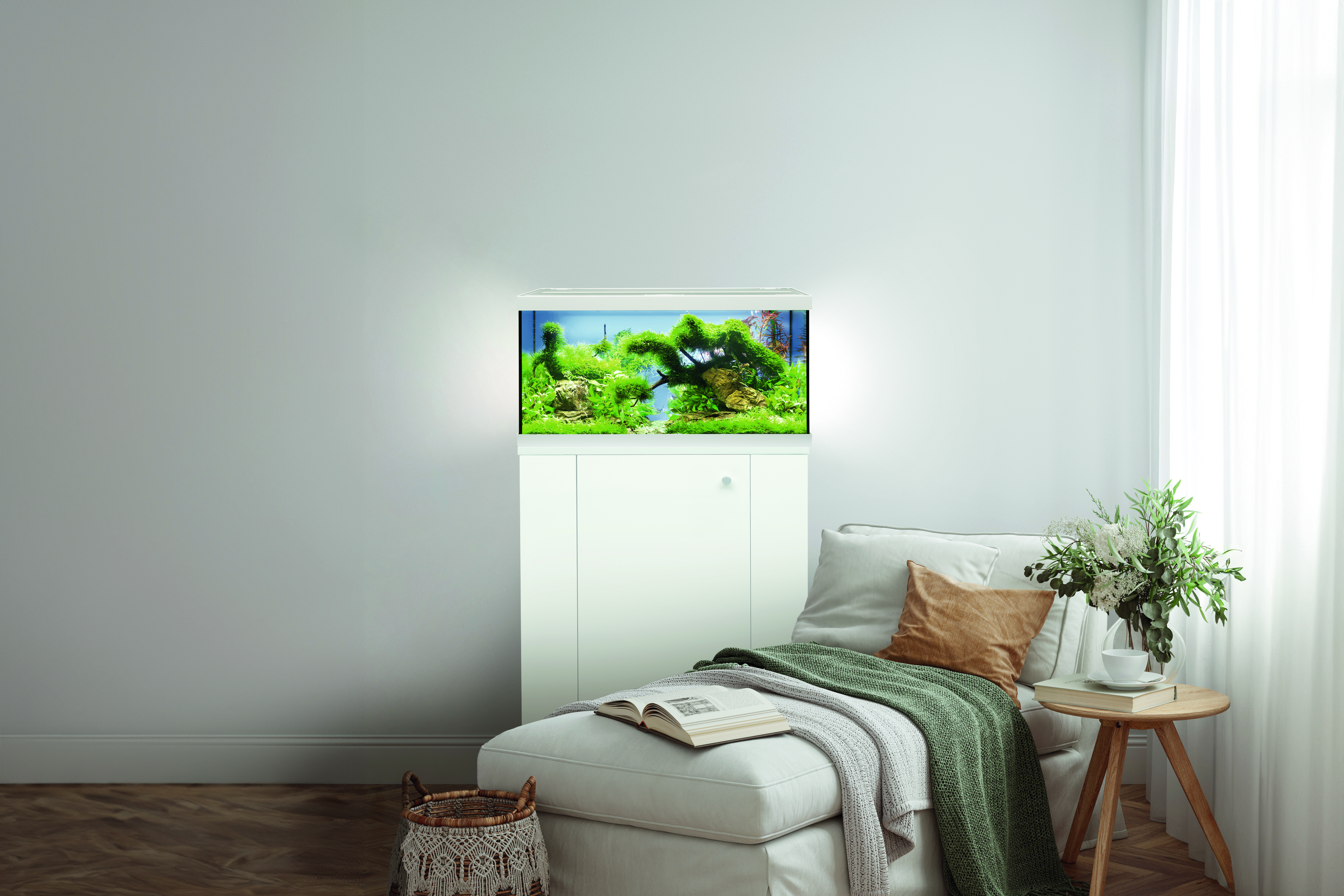 Aquariensets-Süßwasser