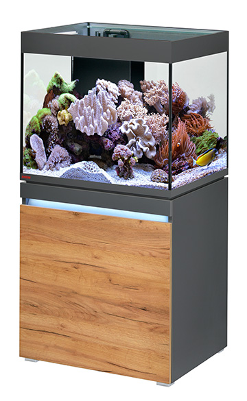 Incpiria_230_reef_graphit_nature